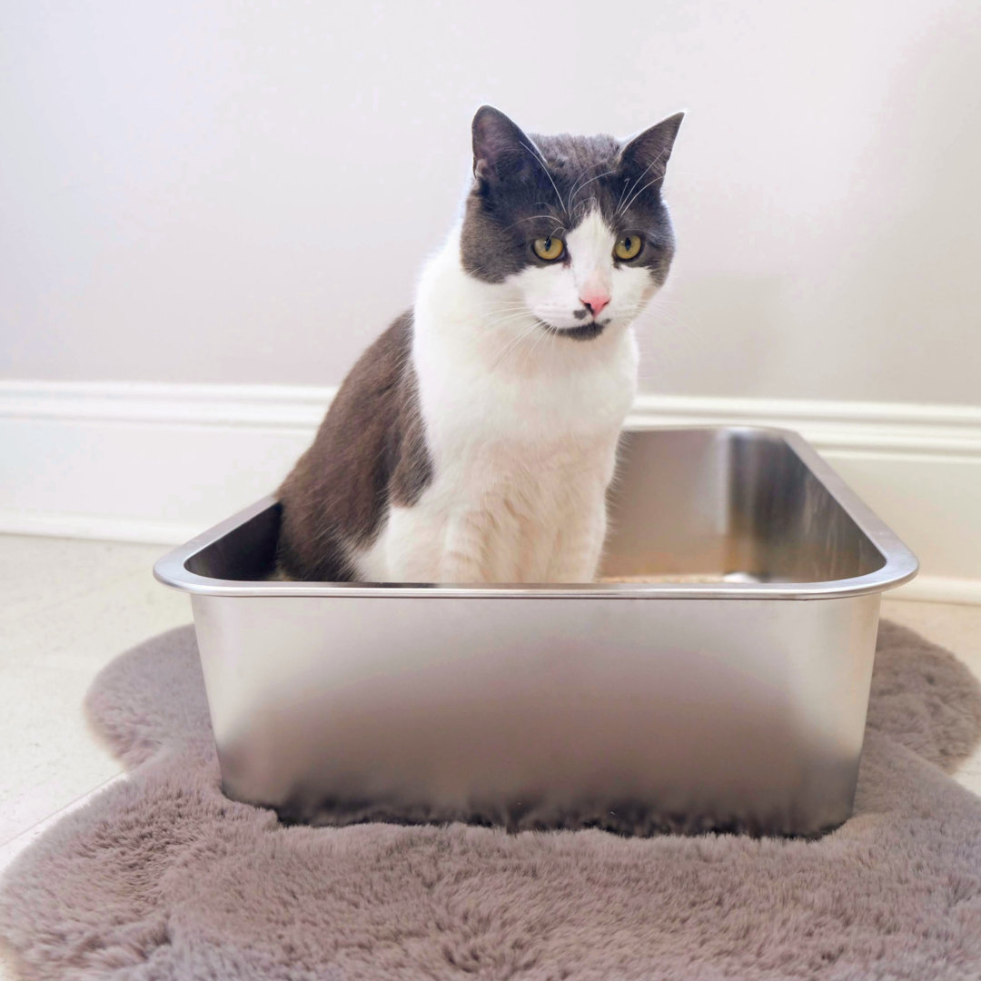 Koreana Metal Standard Litter Box Tucker Murphy Pet™
