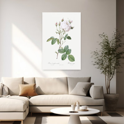 Chou rose blanc Provence abstrait rétro fleur paysage mural