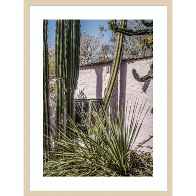 Daisey "Plants on Pink" Print