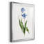 Peinture botanique bleue vive II-789340627-789340630