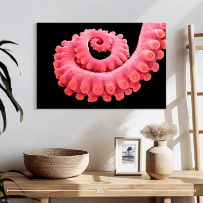 Tentacule de pieuvre rose Brampt