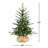 2.2' Pre-Lit Christmas Tree