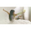 All Season Down Alternative Comforter-53114112