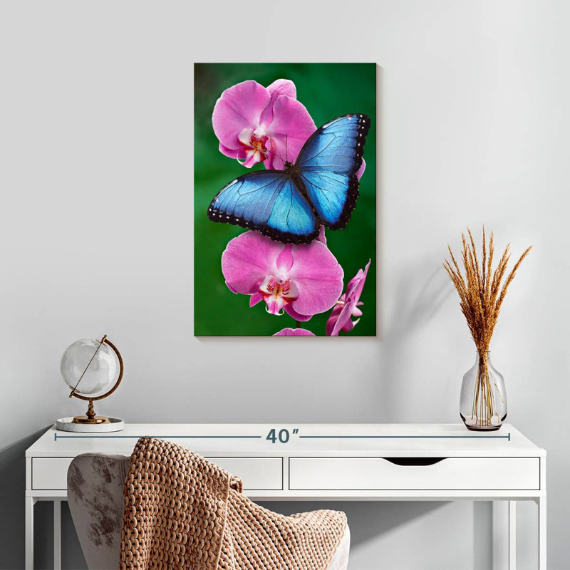 Brampt Blue Morpho On Pink Orchid, 24" H x 16" W