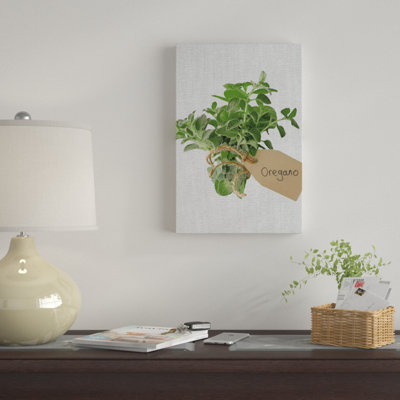 " Oregano " by Assaf Frank