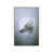 White Floater Framed is unavailable