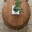 Table basse en noyer au design élégant-104098332