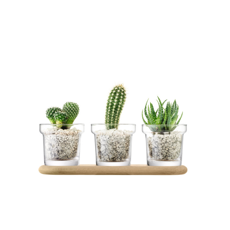 Round Glass Planter