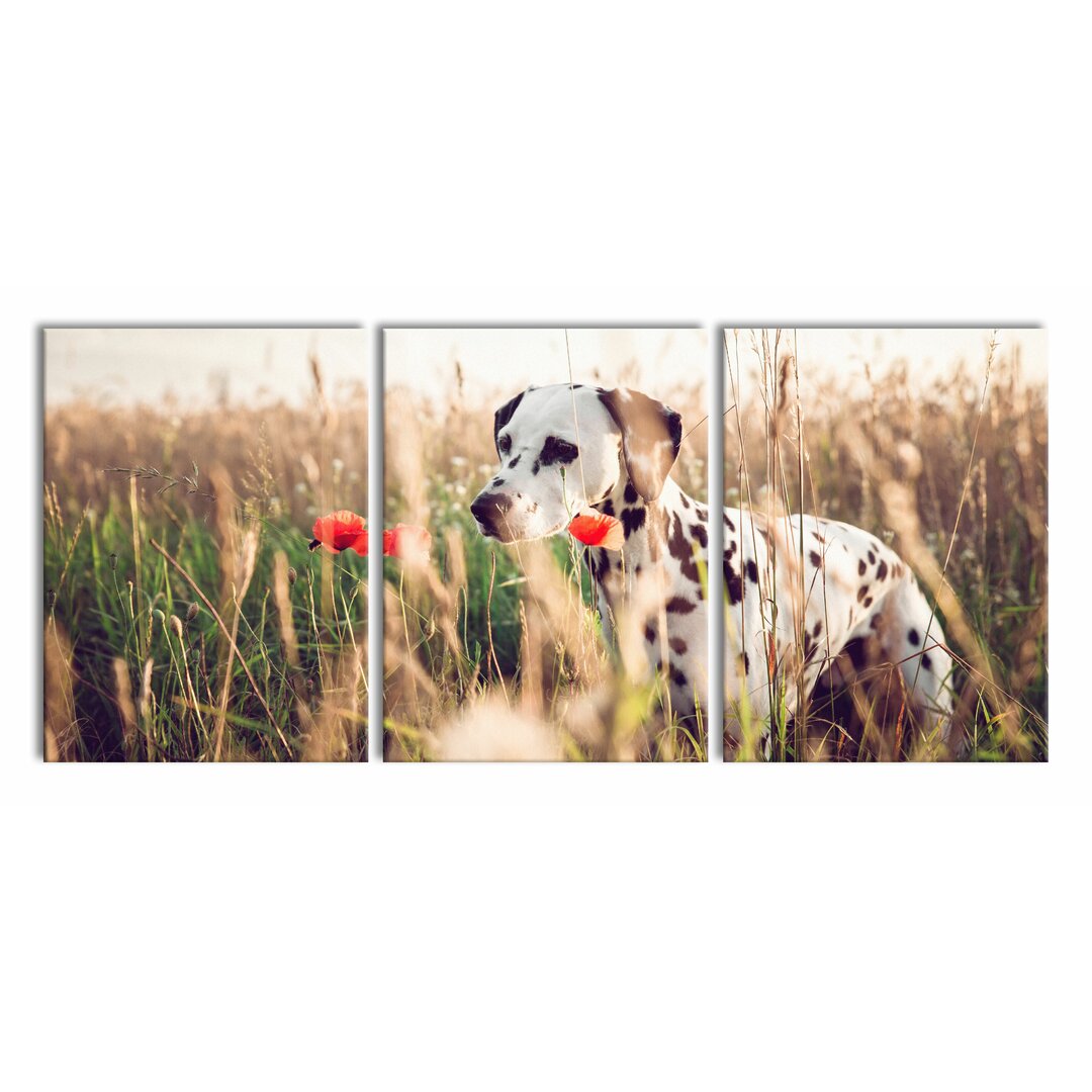 3-tlg. Leinwandbilder-Set Curious Dog in a Field