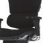 Ergonomic Task Chair