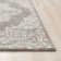 Maxy Oriental Indoor Rug