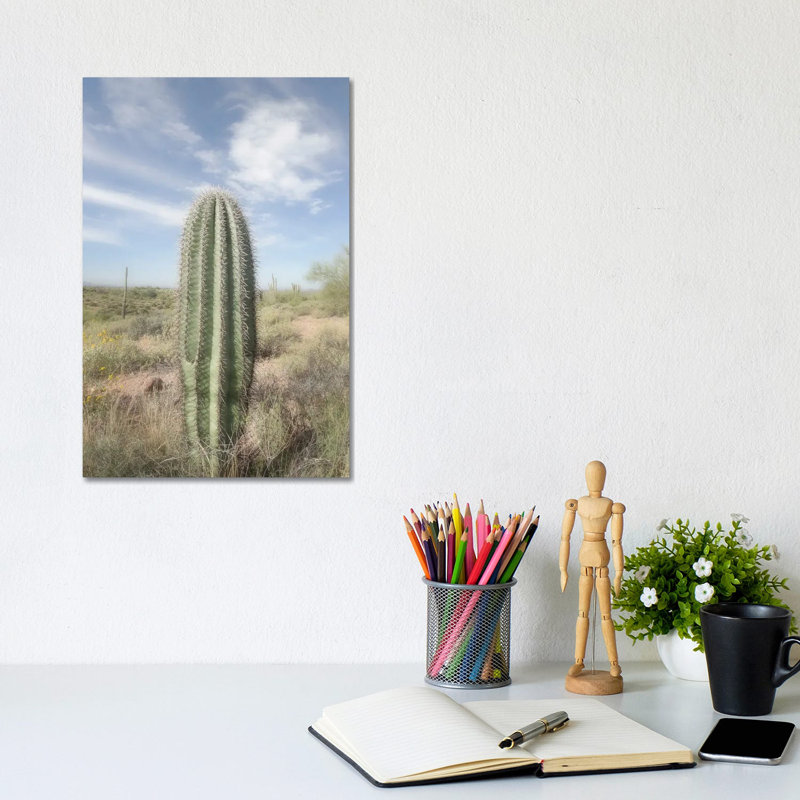 Saguaro by Alan Majchrowicz - Wrapped Canvas Gallery-Wrapped Canvas Giclée, 20.32 cm H x 30.48 cm W