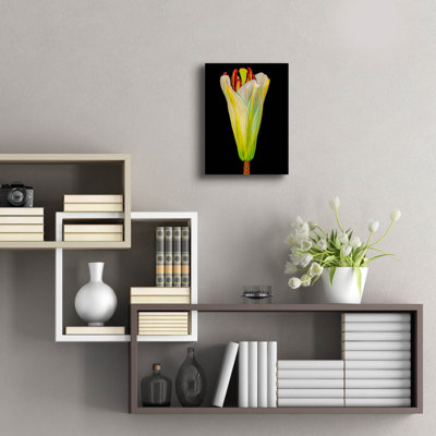 " Lily Bud " by Pamela Plummer