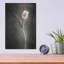 «Two Tone Tulips II» par Debra Van Swearingen-1379813092