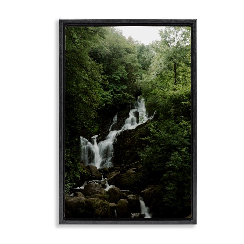Cascade d'eau dans un cadre flottant en forêt, design par Jade Sharp Photo, Cadre flottant noir de jais, H 25 po x l 17 po