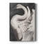 Swan Dance II - galerie sur mesure-2036881337