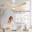 Ventilateur de plafond 60 pouces avec lumière
