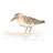 Pretty Piper II by June Erica Vess - Wrapped Canvas Painting-590334770