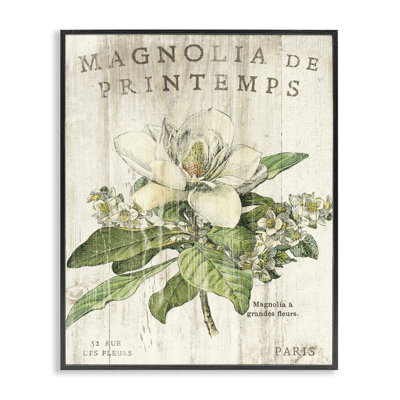 French Magnolias In Spring Oversized Black Framed Giclee Texturized Art by Sue Schlabach