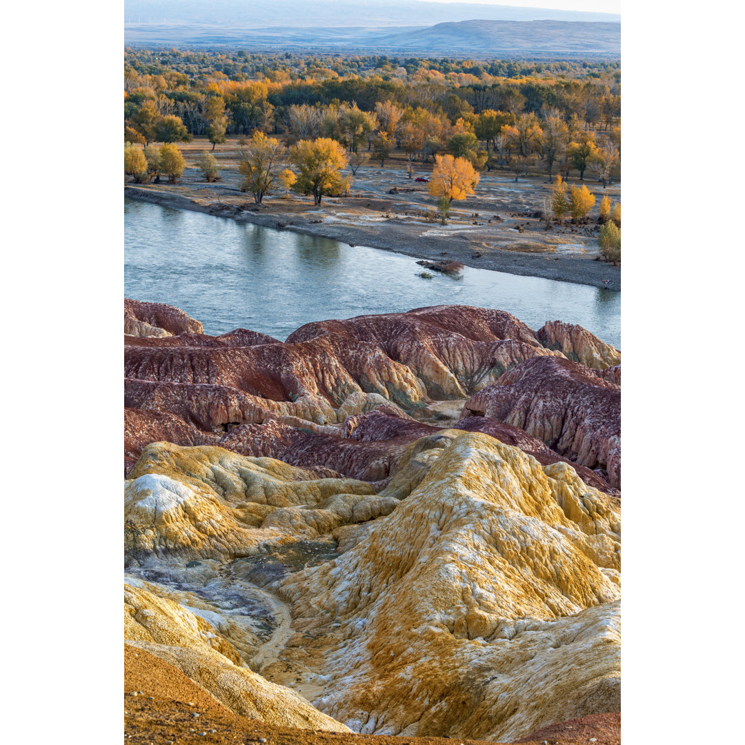 Multiple Color Beach von Spondylolithesis - Drucken