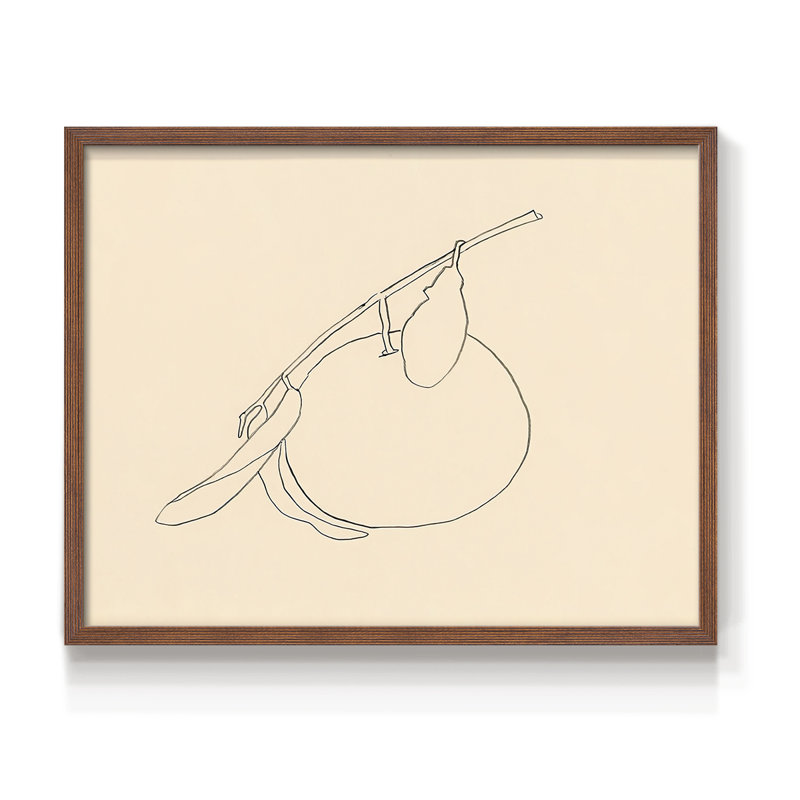 Citrus Contour II -Framed Print - Restickable, Walnut, 16" H x 20" W