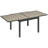 Theopal Extendable Rectangular Wicker/Rattan Outdoor Dining Table