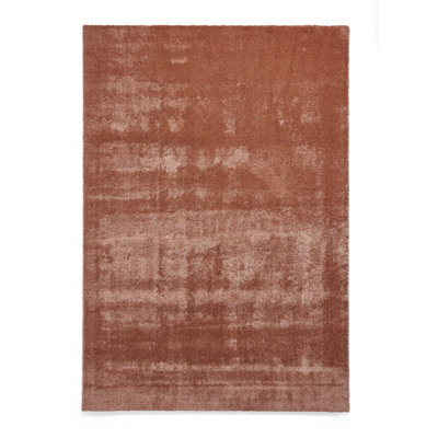 Paonia area rug Machine Woven Rectangle Terracotta