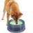 Pet Bowl-98664301