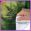 Dense Forest With Ferns Duvet Covers-125233320