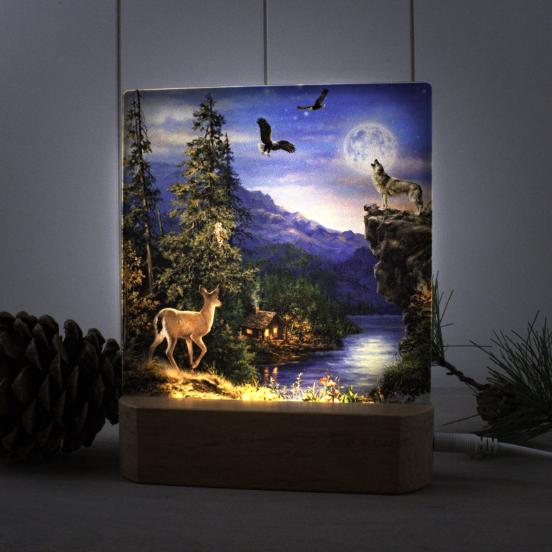 Welcome to the Woods Night Light