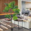 Aisla 155cm Lifelike Plant: No Maintenance & Year-Round Green