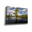 'Atchafalaya Afternoon Ii' by Rick Berk Canvas Wall Art