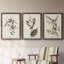 Pl. 160 Carolina Titmouse - Ensemble de 3 peintures sur toile encadrées-476429139-476429148