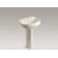 Wellworth Ceramic Pedestal Bathroom Sink with Overflow-1958769600-1903140507