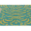 Modern Classics One-of-a-Kind 4'X5'6 Hand Knotted Area Rug