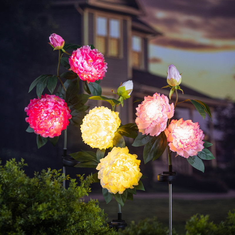 Piquet de jardin Lallage, Rose