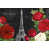 Noir / rouge