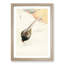 Pheasant Couple by Ohara Koson - Picture Frame Painting Print-55732059-55732060