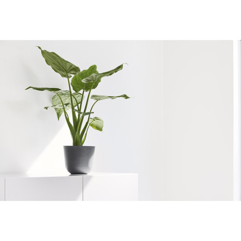Ecopots Oslo Indoor/Outdoor Modern Recycled Plastic Flower Pot Planter, 5" H x 6" W x 6" D, Gray