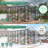10x12 FT Gain Height Windproof Aluminum Greenhouse 10x12 FT, Polycarbonate Panels, Raised Base, All-Season Durability