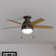 46" Anslee 5 - Blade LED Flush Mount Ceiling Fan with Pull Chain and Light Kit Included