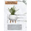 Porte-pot en céramique blanc mat pour plantes avec pieds en bois George Oliver