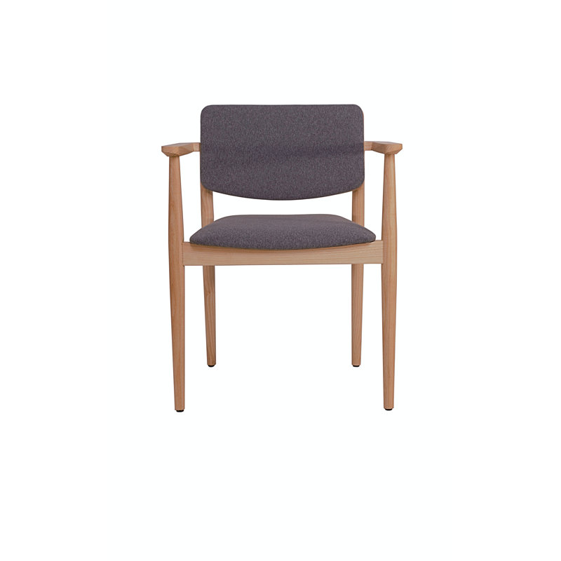Fauteuil Dion gris