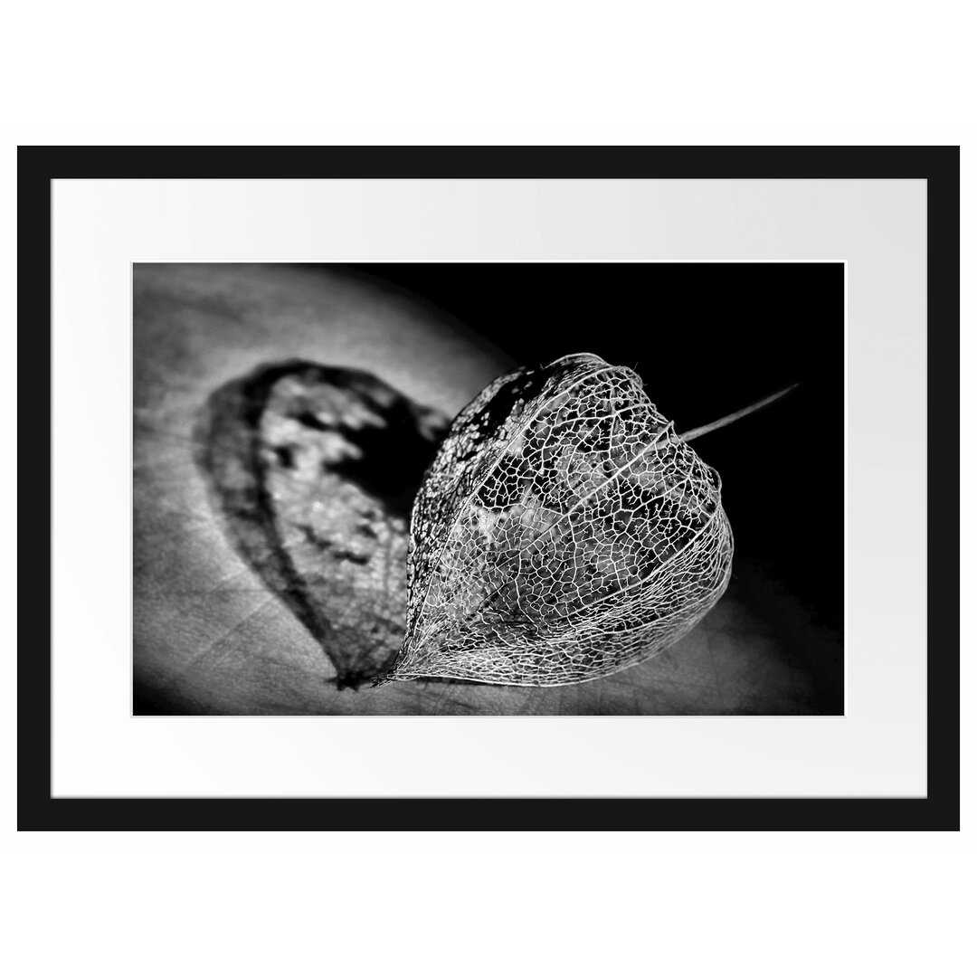 Gerahmtes Poster Schatten einer Physalis