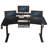 Modernchamp 63'' Dual Motor Height Adjustable Standing Desk With Laminate-91148511