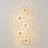 Modern Floral Led Wall Sconce With Dimmable Tri-color Light & Premium Glass Shade