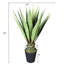Fausse agave botanique au fini vert