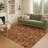 Machine Washable Indoor/Outdoor Chantille ACN2613 Novelty Rug-1430871614-1430871615