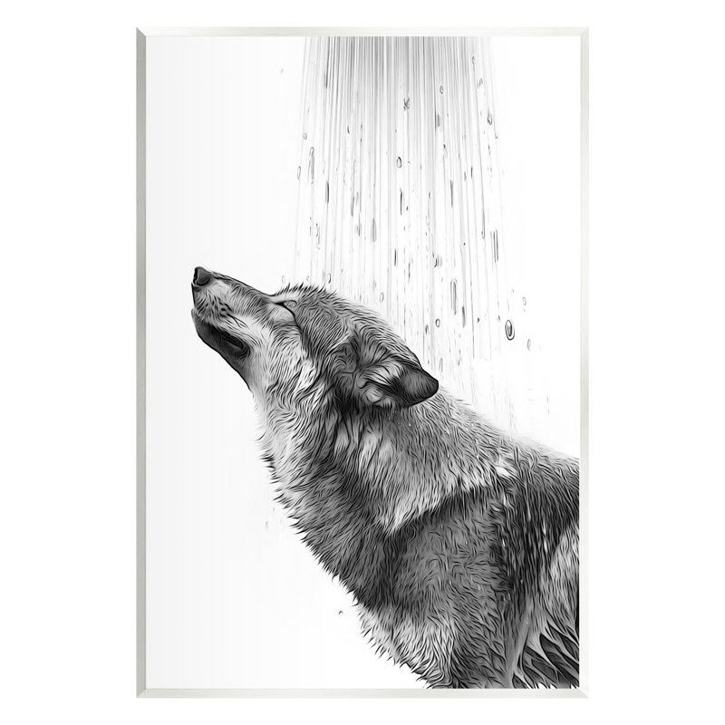 Az-642-Wood Wolf In Bathroom Splash sur toile par Annalisa Latella, H 19 po x l 13 po x P 0,5 po