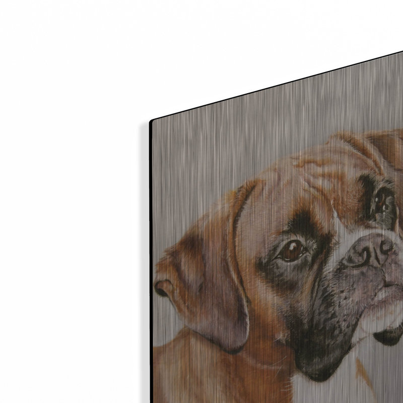 «Boxer» par Janet Pidoux, H 16 po x l 12 po